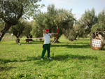 Immagine111